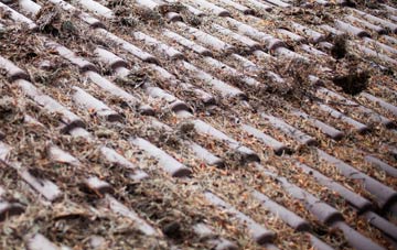 Cathays Park roof cleaning companies